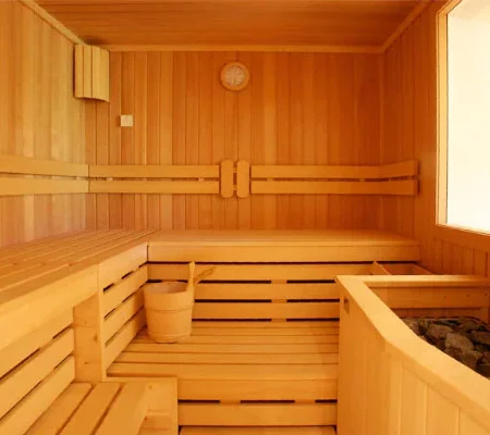 basement-sauna